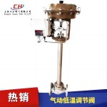 氣動低溫調節(jié)閥